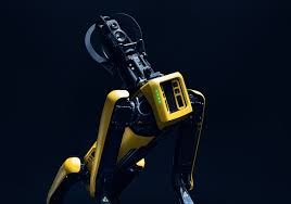 Tr