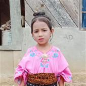 Gi