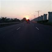 Cỏ