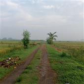Lị