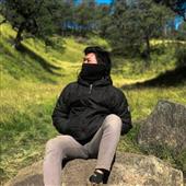 Bl