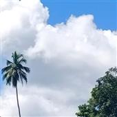Be